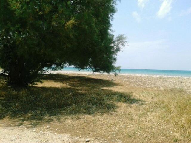 Agiassos Naxos Apartments 外观 照片